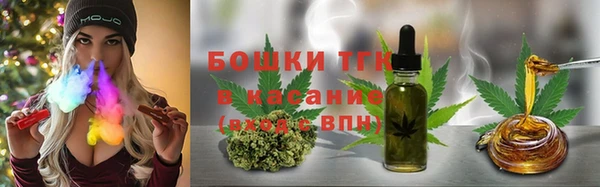 PSILOCYBIN Гусев
