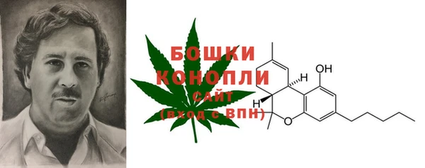 прущие грибы Тавда