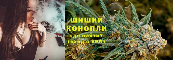 PSILOCYBIN Гусев