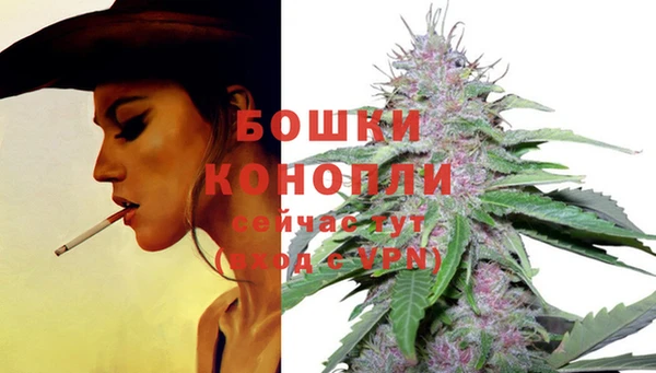 PSILOCYBIN Гусев