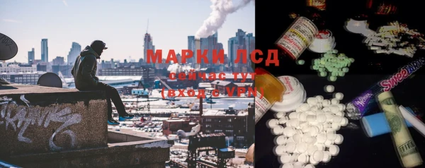 прущие грибы Тавда